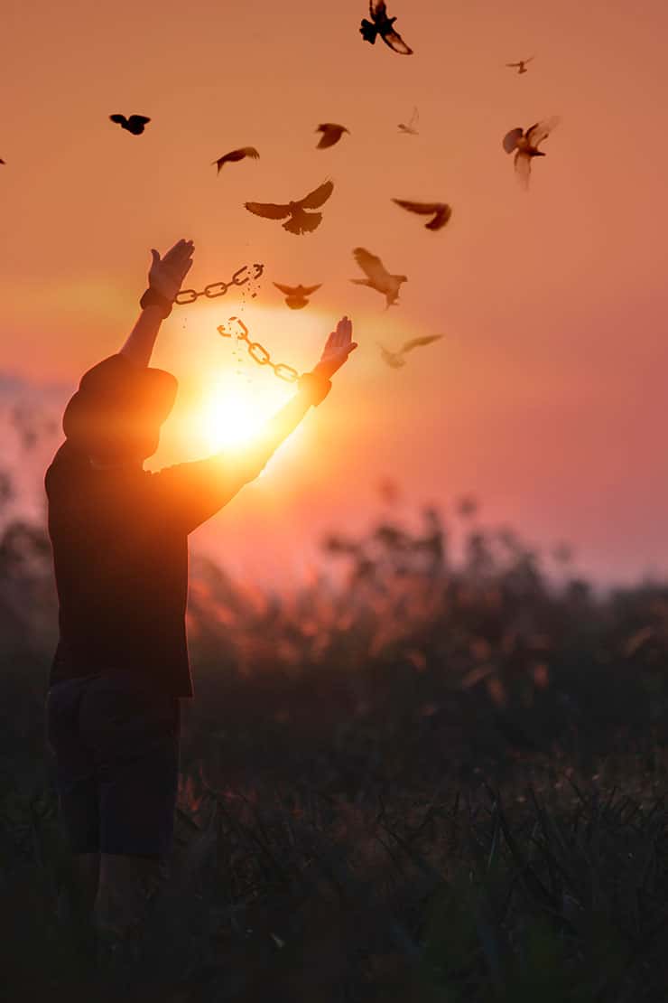 Birds being released by caretaker